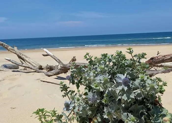 Ferienhaus Lovely Triplex With Terrace & Garden Near Ocean *