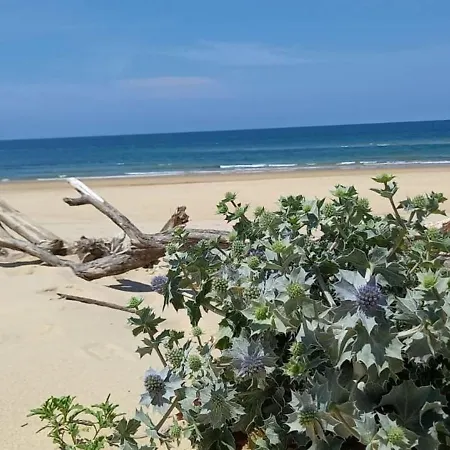 Ferienhaus Lovely Triplex With Terrace & Garden Near Ocean *
